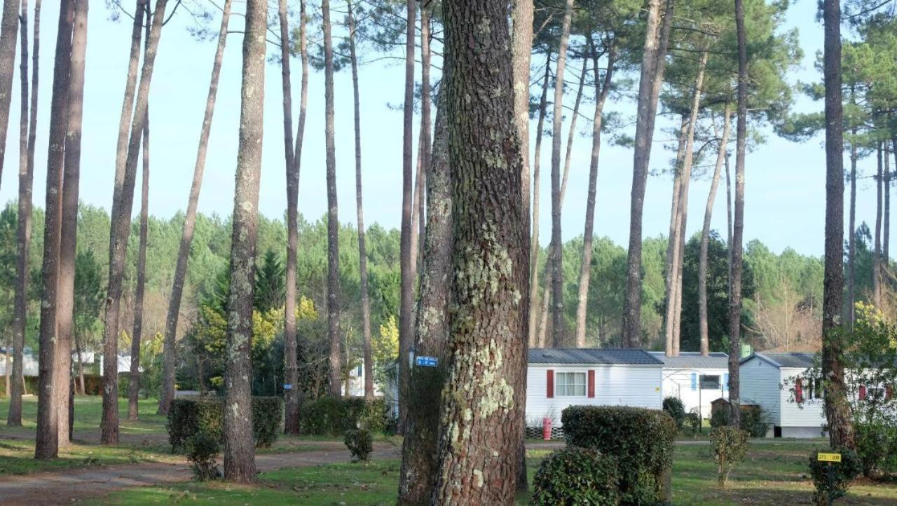 Mobil Home Rainbow, Camping Les Dunes De Contis سان جوليان-أون-بورن الغرفة الصورة